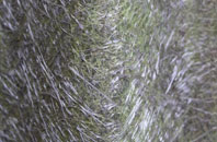 Corfe Castle fibreglass roof work